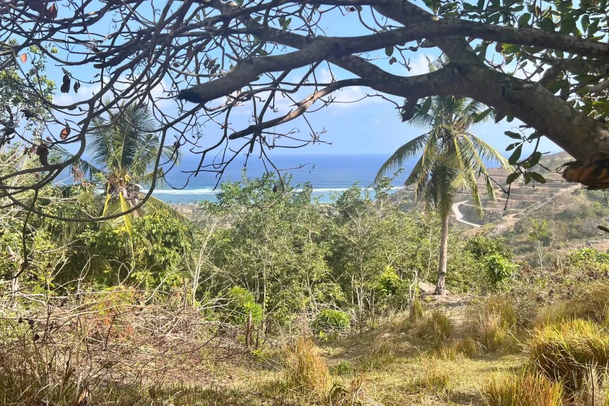 Sea view framed by tree branches from a quiet hillside plot in South Lombok